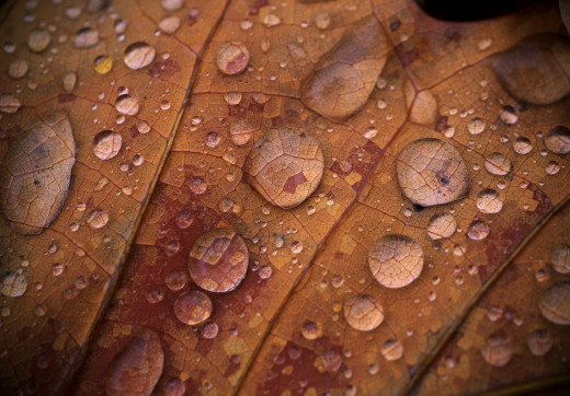 700616 (a): :2048x1424